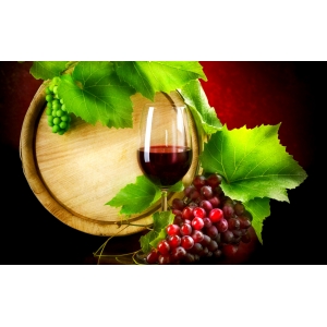 Ilustrační foto Vína Vinostyl.cz, eshop - Vino, co ma styl: nova nabidka vin