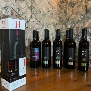 Ilustrační foto Vína  Degustace 13. 02. 2026 Vinařství Mádl