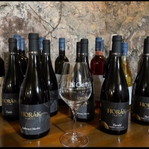 Ilustrační foto Vína Degustace Vinařství Leoš Horák