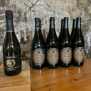 Ilustrační foto Vína Degustace vinařství Libor Veverka