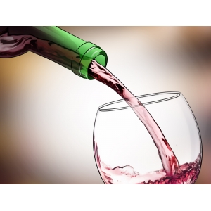 Ilustrační foto Vína 13. 8. 2008 - Degustace vinařství Šalša Václav z Kyjova
