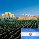 Argentinské víno