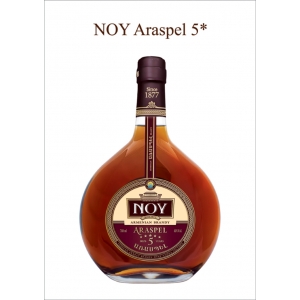Brandy NOY ARASPEL – 5 let 0,5l