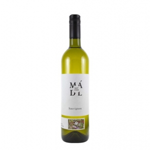 Sauvignon, moravské zemské 2021, víno bílé - suché CLASIC